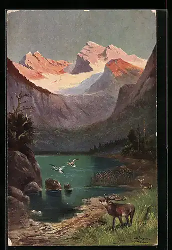 Künstler-AK Alfred Schönian: Hirsch an Gebirgssee mit Enten und Hirschkuh