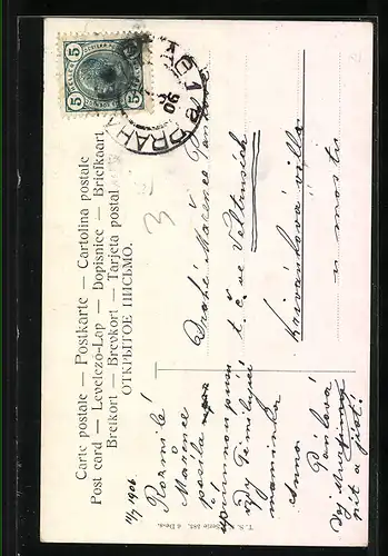 Künstler-AK Alfred Schönian: Vögel auf einem Ast