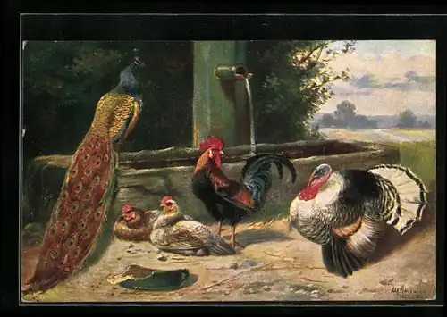 Künstler-AK Alfred Schönian: Pfau, Hühner und Truthahn am Brunnen