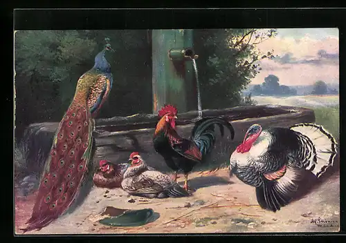 Künstler-AK Alfred Schönian: Pfau, Hühner und Truthahn am Brunnen