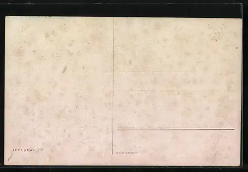 Künstler-AK Alfred Schönian: Pfau, Truthahn und Hühner am Trog