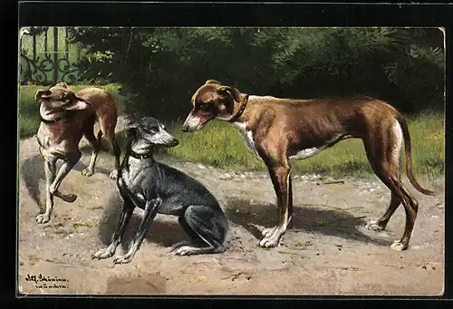 Künstler-AK Alfred Schönian: Drei Hunde im Garten