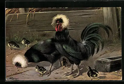 Künstler-AK Alfred Schönian: Henne und Hahn mit Küken