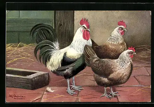 Künstler-AK Alfred Schönian: Hähne und Huhn