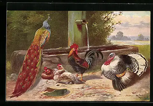 Künstler-AK Alfred Schönian: Fasan, Truthahn und Hühner am Brunnen
