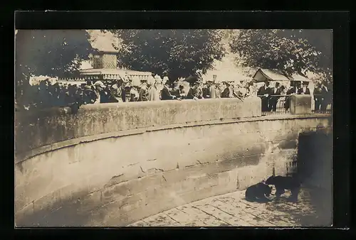 AK Bern, Bärengraben mit Besuchern und Bären