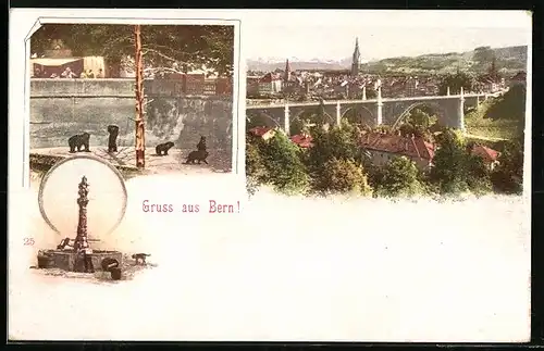 AK Bern, Aussicht auf die Stadt und den Bärenzwinger