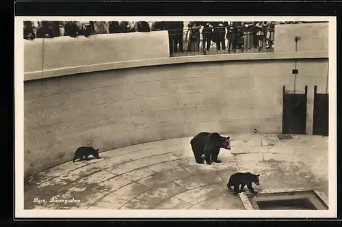AK Bern, Blick in den Bärengraben