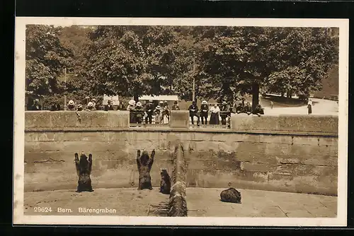 AK Bern, Stehende Bären im Bärengraben