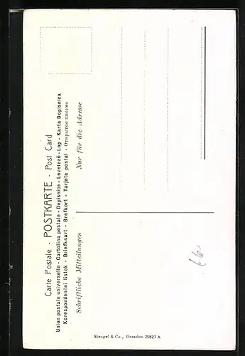 Künstler-AK Stengel & Co. Nr. 29827: Madonna della Sedia