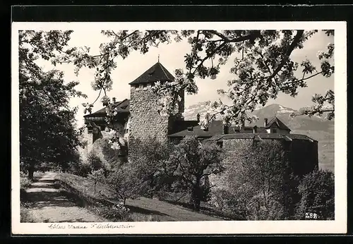AK Vaduz, Schloss Vaduz mit Weg