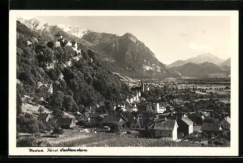 AK Vaduz, Ortsansicht mit Schloss und Bergen