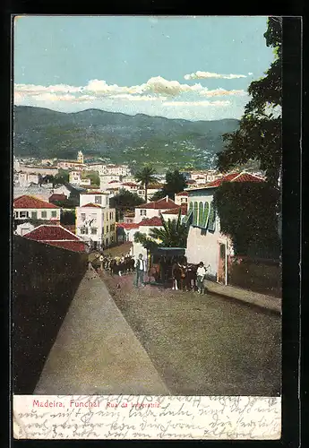 AK Funchal /Madeira, Rua da Imperatriz