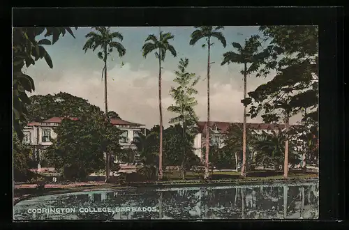 AK Barbados, Codrington College