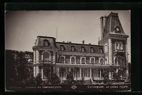 AK Euxinograde, Le palais royale