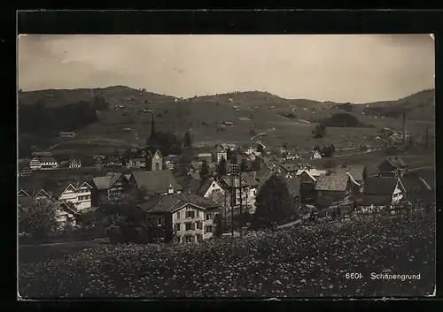 AK Schönengrund, Gesamtansicht aus der Vogelschau