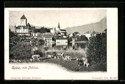AK Spiez, Ortsansicht mit Schloss