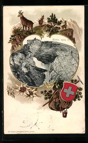 Präge-AK Säntis, Blick auf den Gipfel, Gämsen und Bergsteigerausrüstung