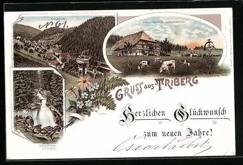 Lithographie Triberg / Schwarzwald, Bauernhaus, Wasserfall, Teilansicht