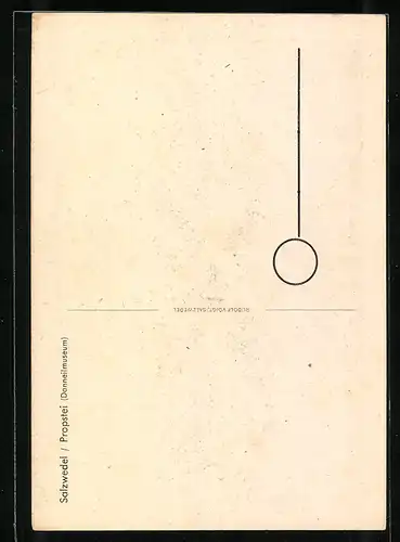 Künstler-AK Salzwedel, Propstei, Danneilmuseum