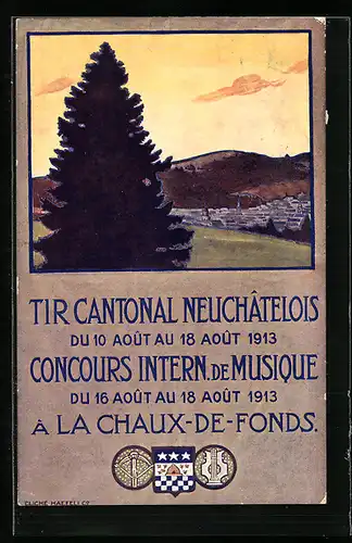 AK La Chaux-de-Fonds, Tir Cantonal Neuchatelois & Concours Intern. de Musique 1913, Vue Génerale