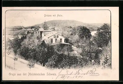 AK Gremsmühlen / Holst., Dieksee mit Holm