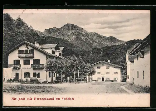 AK Alt-Joch / Kochelsee, Ortspartie mit Herzogstand, Gasthaus Alt-Joch