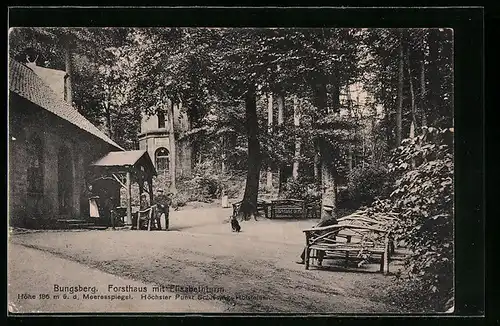 AK Schönwalde / Holst., Forsthaus Bungsberg mit Elisabethturm