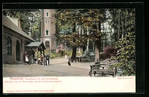 AK Schönwalde / Holst., Forsthaus Bungsberg mit Elisabethturm