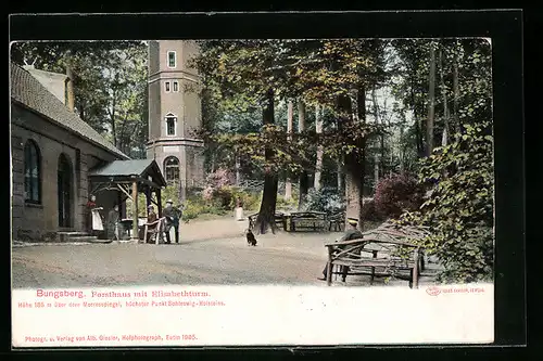 AK Schönwalde / Holst., Forsthaus Bungsberg mit Elisabethturm
