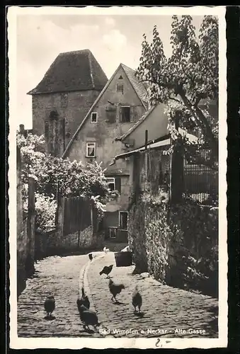 AK Bad Wimpfen, Alte Gasse