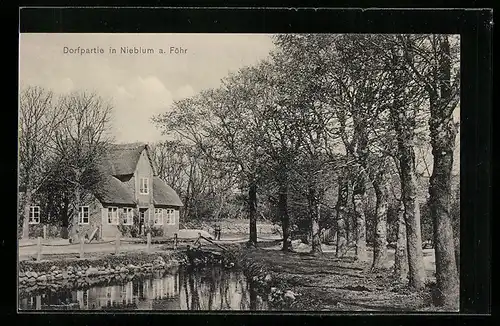 AK Nieblum a. Föhr, Dorfpartie