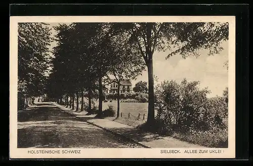 AK Sielbeck /Holsteinische Schweiz, Allee zum Uklei