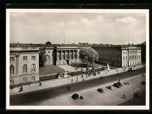 AK Berlin, Unter den Linden, Blick auf die Universität