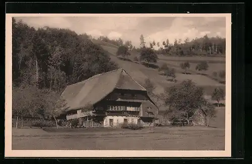 AK Rankach / Schwarzwald, Blick auf den Eisemann-Michelehof