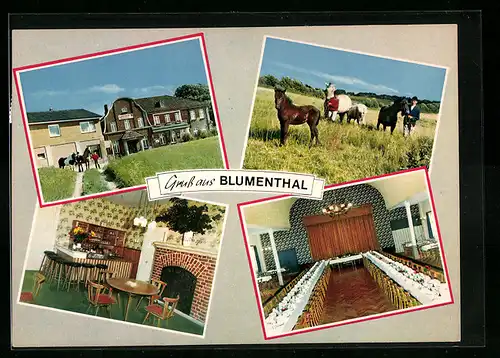 AK Blumenthal bei Holzdorf, Gasthof, Kaminzimmer, grosser Festsaal, Pferde auf der Weide