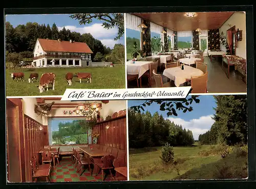 AK Hammelbach im Odenwald, Cafe Bauer im Gassbachtal, Waldpartie, in der Gaststube