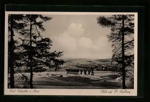 AK Bad Salzgitter a. Harz, Blick auf SA. Siedlung
