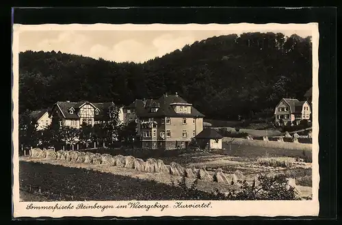 AK Steinbergen im Wesergebirge, Kurviertel