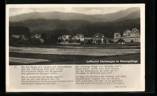 AK Steinbergen im Wesergebirge, Ortsansicht mit Gedicht