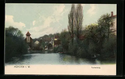 AK Münster i. W., Blick zur Tuckesburg