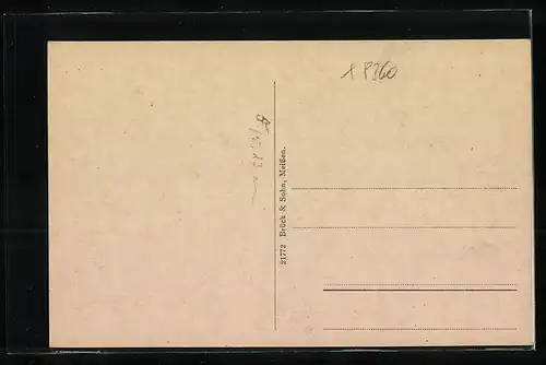 AK Sebnitz i. Sa., Totalansicht von einem Berg aus