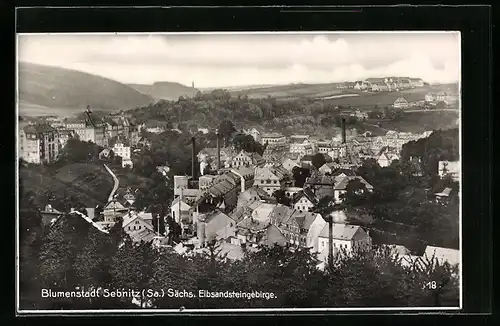 AK Sebnitz (Sa.), Blick auf die Blumenstadt im Sächs. Elbsandsteingebirge