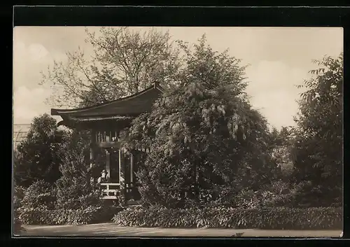 AK Berlin-Dahlem, Japanische Laube im Botanischen Garten