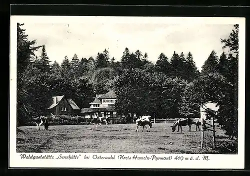 AK Osterwald, Waldgaststätte Sennhütte
