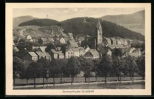 AK Olsberg, Ortsansicht von einer Anhöhe aus