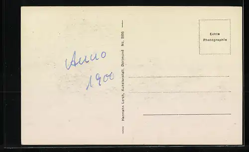 AK Münster i. W., Totalansicht aus der Vogelschau