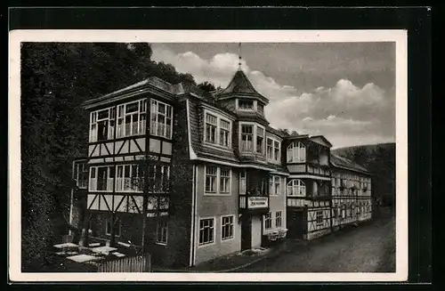 AK Schwarzburg in Thüringen, das Gasthaus zum Wildpark