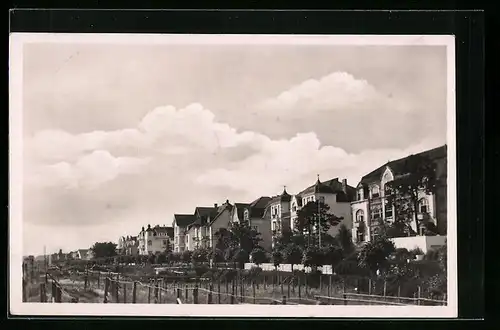 AK Ostseebad Bansin, Villen an der Promenade