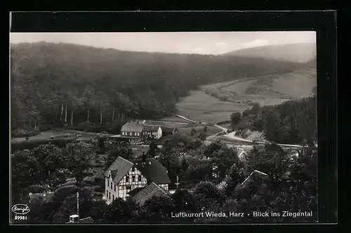 AK Wieda im Harz, Blick ins Ziegental